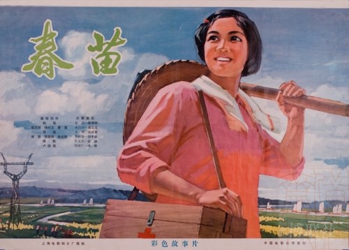 哪里可以制作新加坡岛驾驶执照